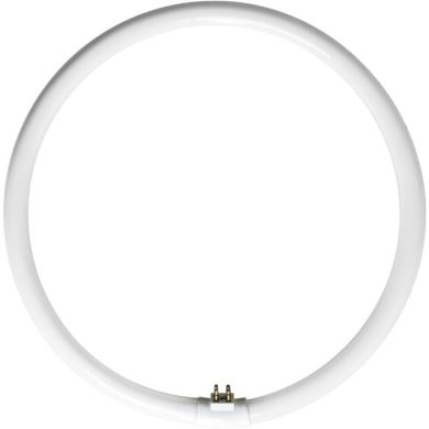 Tubo G10q T5 Circular 55W 4000K
